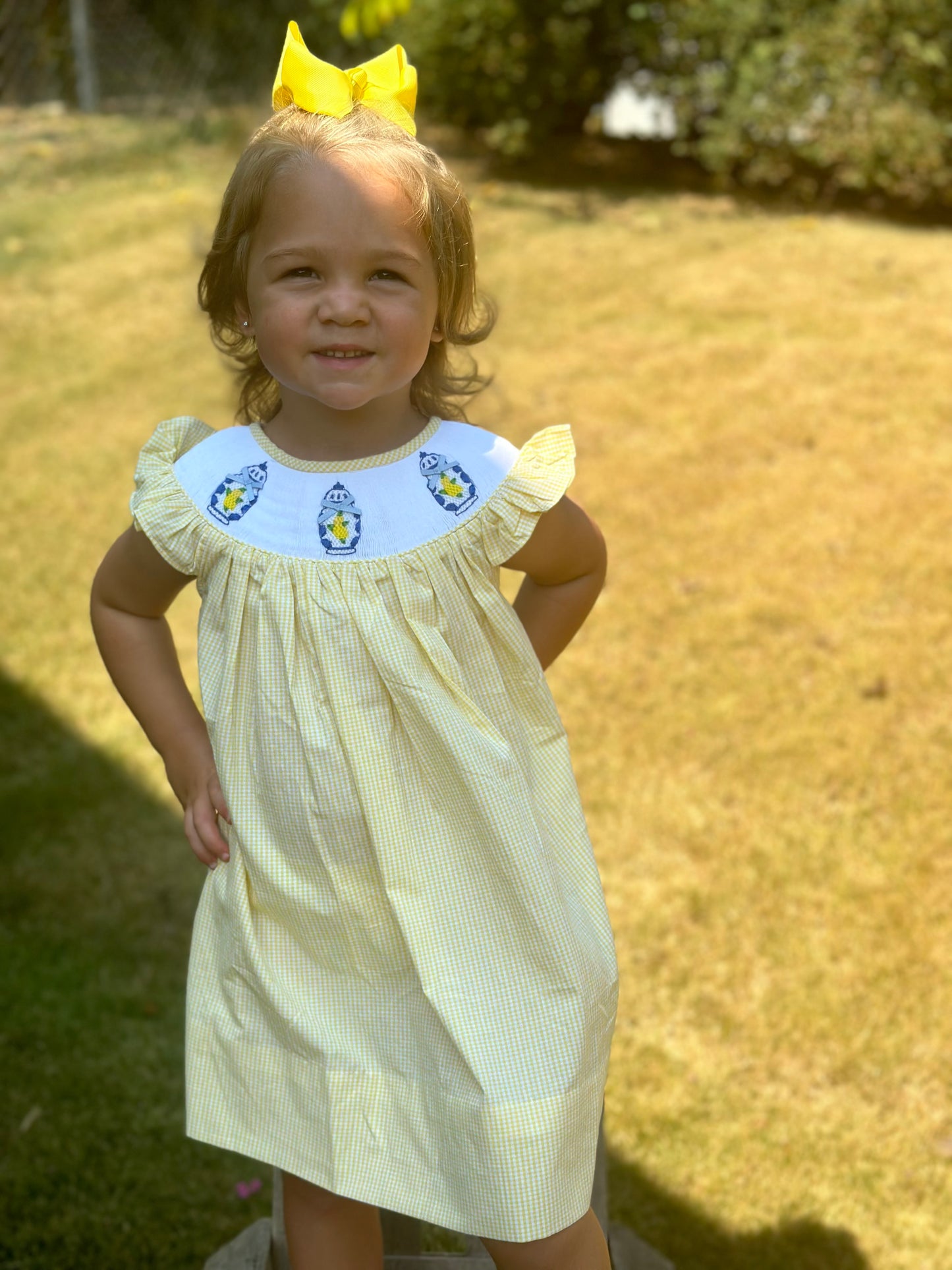 RTS - Smocked Lemon Ginger Jars Dress